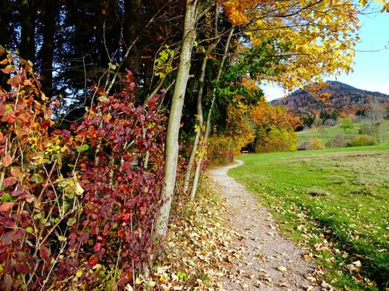 Herbst in Benediktbeuern