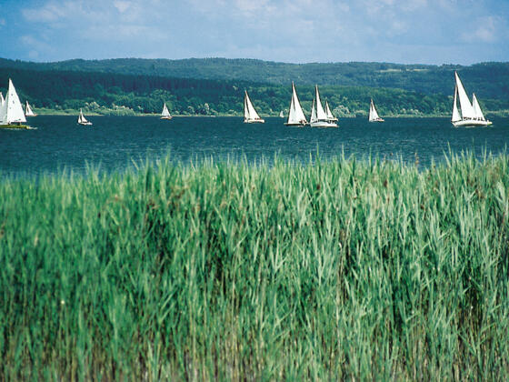 Blick über den Ammersee.