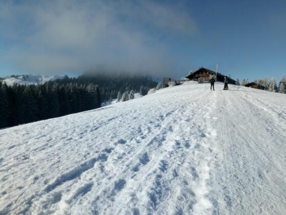 Im Aufstieg an der Aueralm