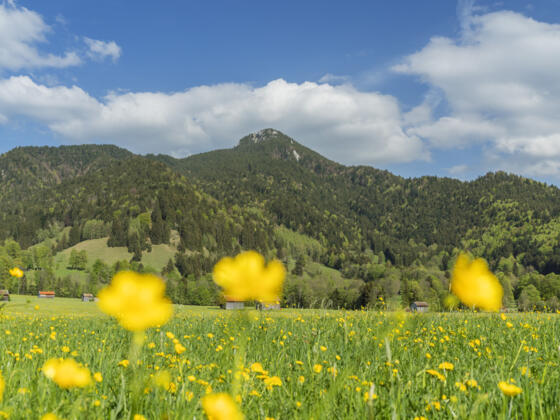 Blick auf Geierstein