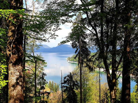 Aussicht vom Gamsreibnweg über den Walchensee