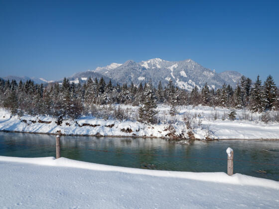 Der Wilfluss Isar im Winter