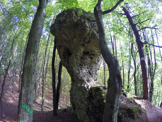 Das markante Felstürmchen &quot;Frauenfels&quot;