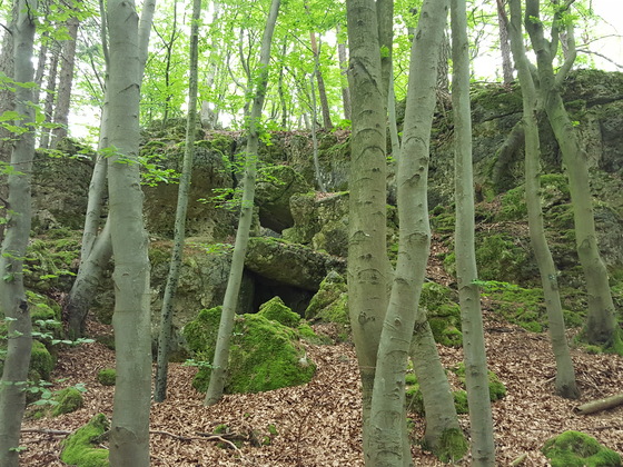 Höhle Nr. 2 versteckt sich in verblocktem Gelände