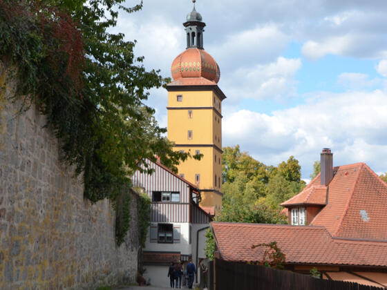 Stadtmauer mit Segringer Tor