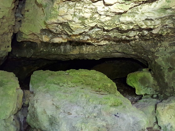 Der Zugang in das Innere des eindrucksvollen Bärenlochs