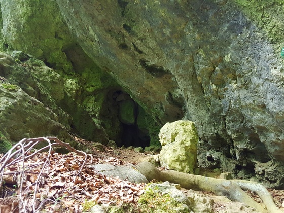 Höhle Nr. 32 mit dem kleinen "Durchbruch" (hier nicht erkennbar)
