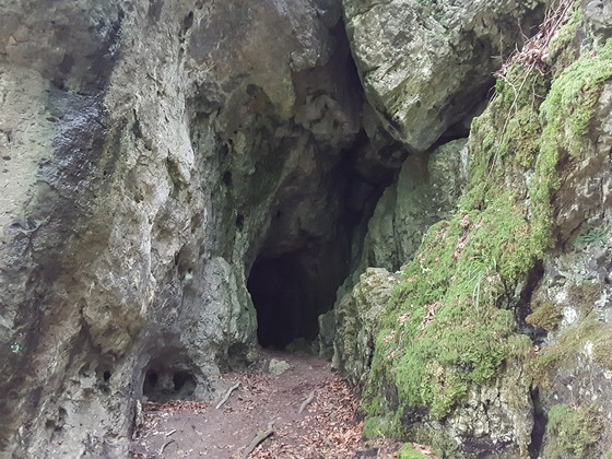 Höhle Nr. 31