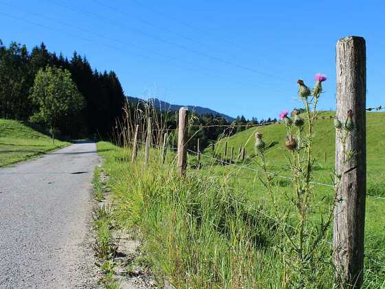 Höhenweg bei Mariabrunn