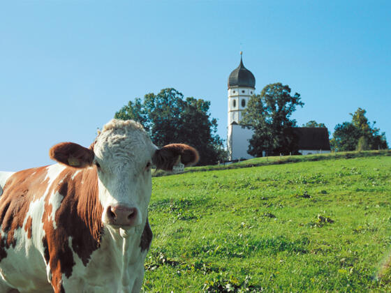 Bei Münsing Holzhausen.