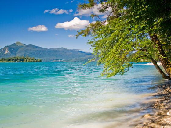 Bayerische Karibik - Der Walchensee - Hier mit der Insel Sassau (Betretungs-und Anlandeverbot) und Herzogstand
