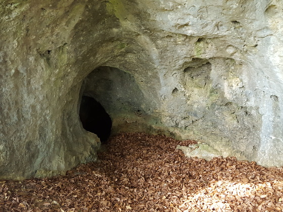 Das Schnackenloch bei Neukirchen
