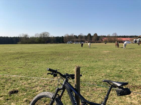 Die Pferdekoppel vom Weberhof