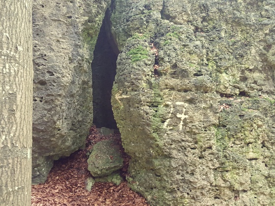 Mittelbergwandhöhlen (Nr. 27)