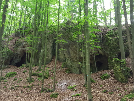 Dürrnberghöhlen (Nrn. 15 und 16)