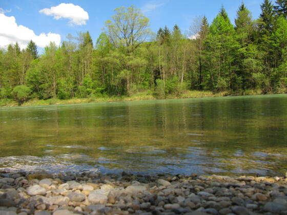 Geretsried- Zur Isarbrücke und in die Wildnis