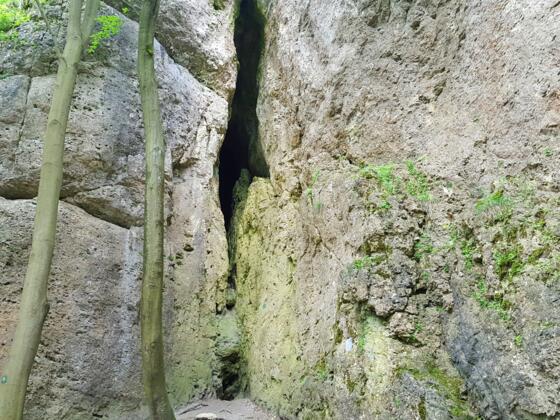 Die Starenfelshöhle ist nur durch Klettern erreichbar (2 - 3 Meter im II. Grad UIAA)