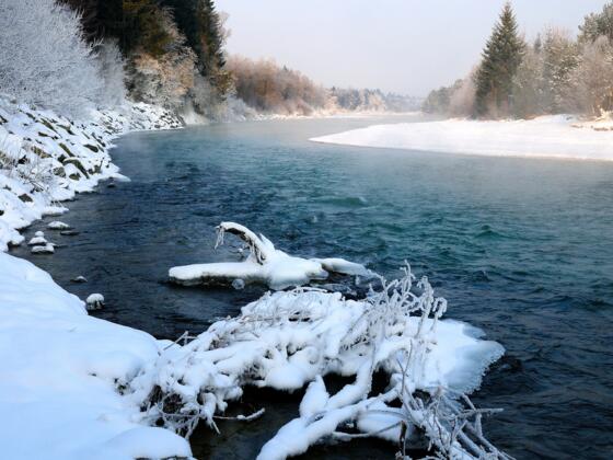 Isar