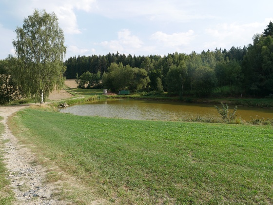 Blick zum Klosterwald