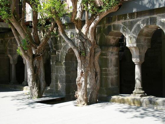 Romanischer Kreuzgang