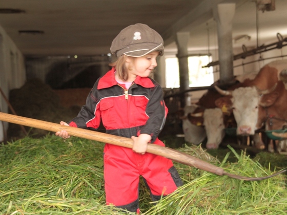 Der kleine Bauernhof