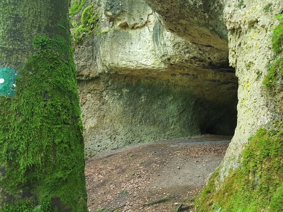 Schmiedberghöhle (Nr. 1)