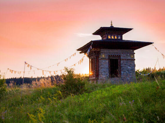 Schlosspark Dennenlohe