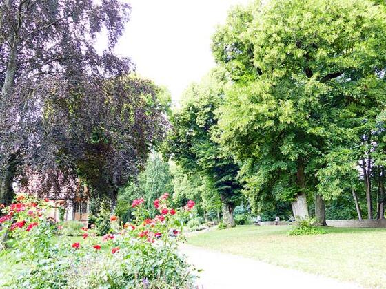 Der Burggarten an der Alten Burg.
