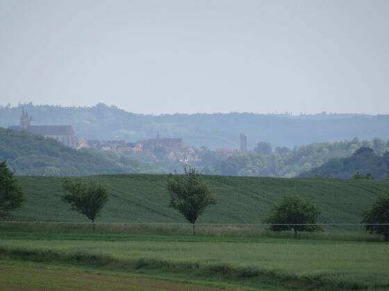 Blick auf Rothenburg ob der Tauber in der Ferne