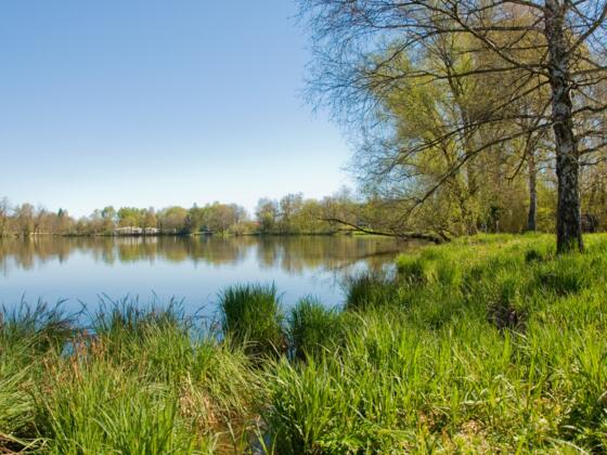 Stadtweiher Kempten