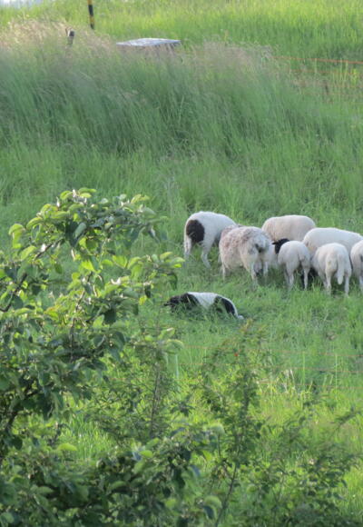 Auf dem Weg zu den Zwergen