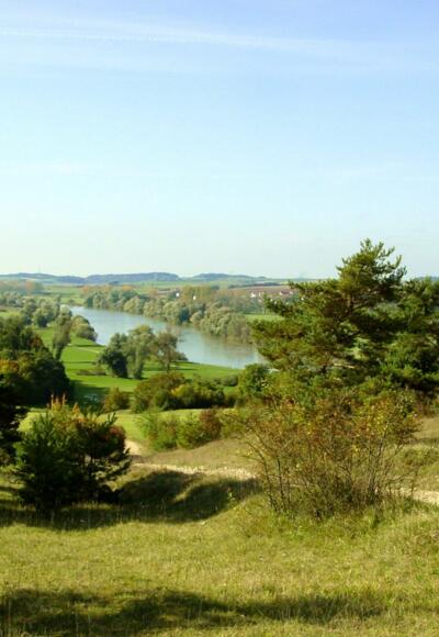Donautal bei Neustadt a.d. Donau