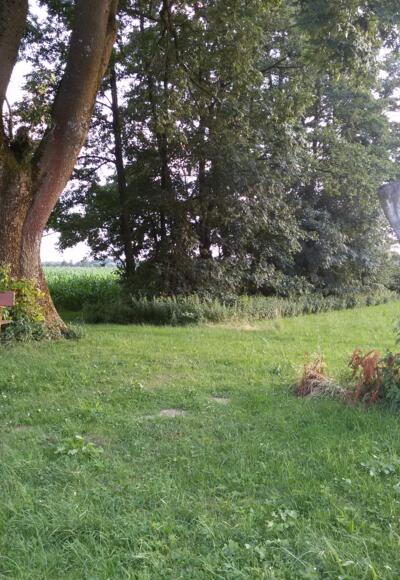 Naturkunstwerk: Holzskulptur des Erdinger Künstlers Fritz