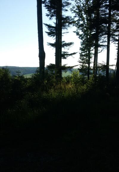 Ausblick vom Richinger Berg