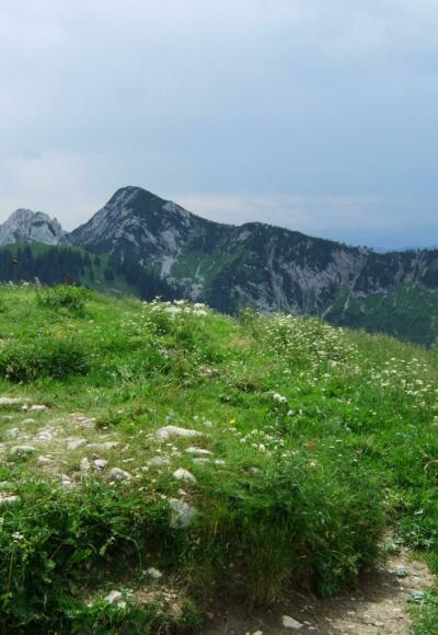 Blick zum Risserkogel vom Setzberg