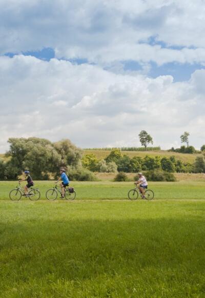 Radfahren im Hopfenland Hallertau