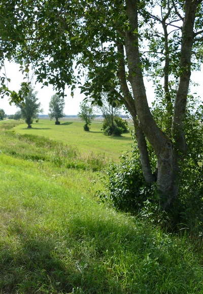 Umwelt-Radweg Flughafen München