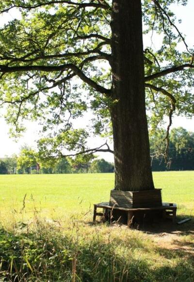 Wanderweg B3, Rastplatz gleich am Beginn der Tour
