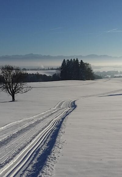 Langlaufloipe Schwabsoien
