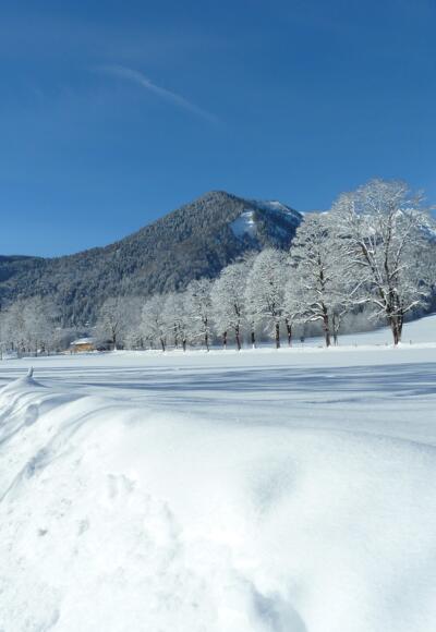 Blick zum Hirschberg