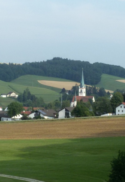 Blick vom Hungersberg nach St. Wolfgang