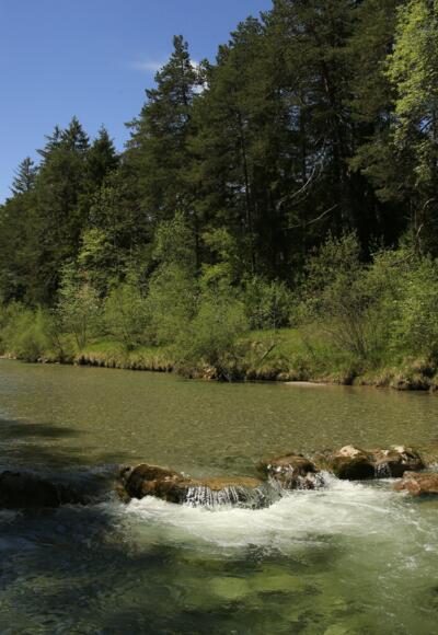 Weißachau bei Kreuth