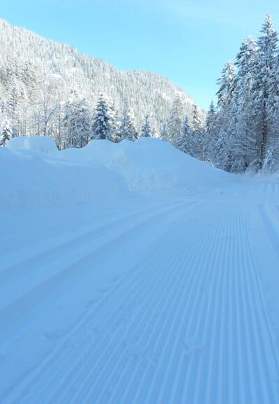 Blick vom Parkplatz Klamm in die Loipe