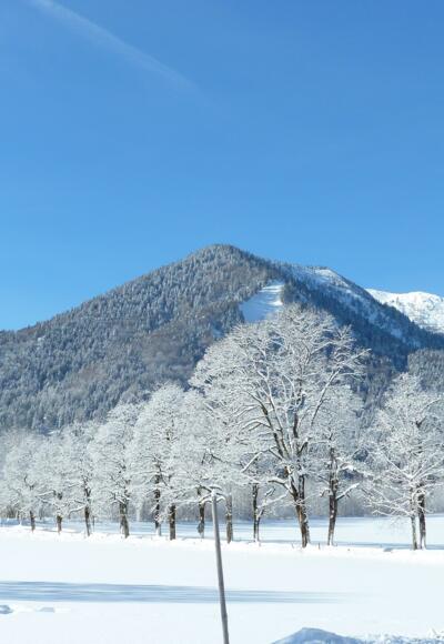 Hirschberg von Osten