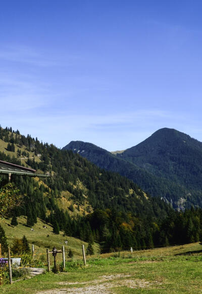 Niederhofer Alm