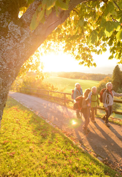 Wanderweg zum Hohen Peißenberg