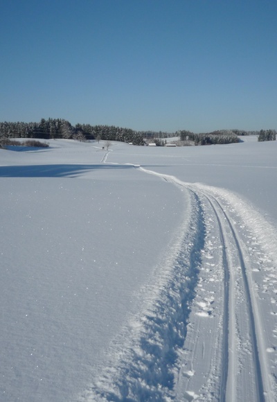 Loipe rund um Ingenried