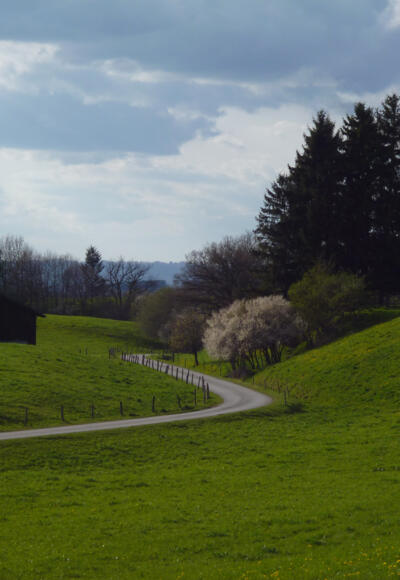 Mitten durch die idyllische Hügellandschaft führt der Weg vom Schellenberg zurück nach Eberfing.
