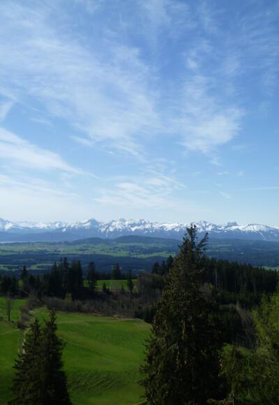 Aussicht vom Auerberg ins Allgäu