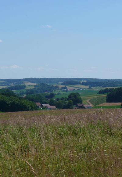 Ausblick bei Lindberg